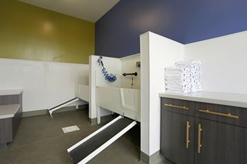 Pet washing station